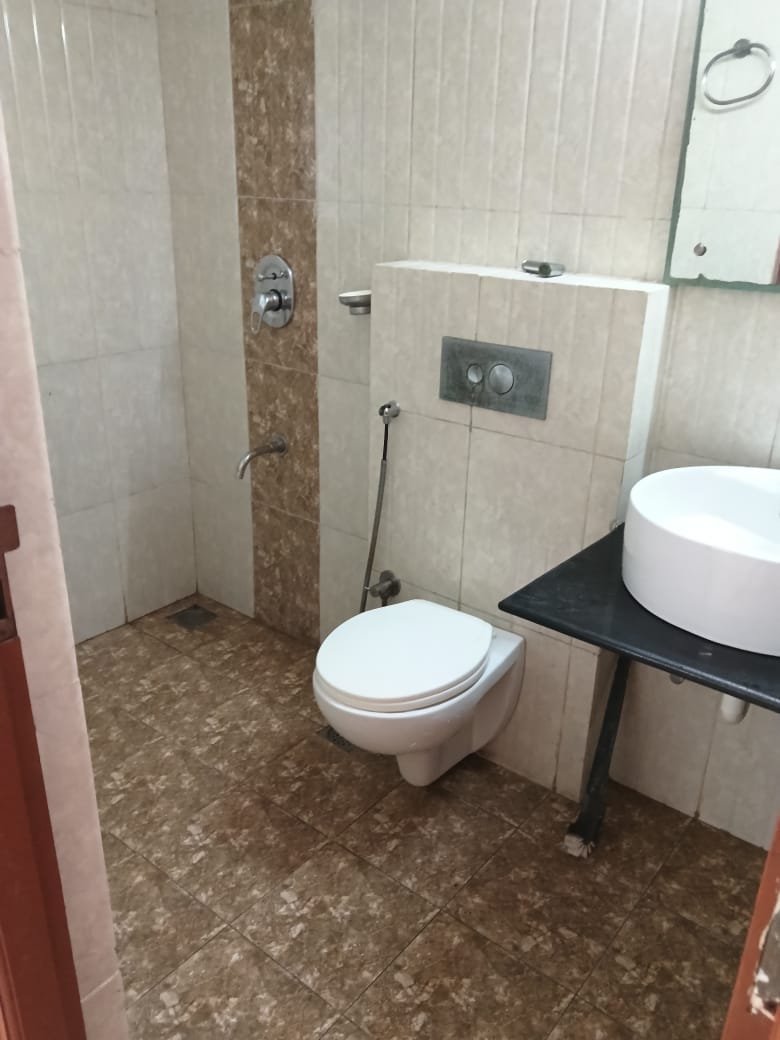 Modern Bathroom & Tile Disinfection